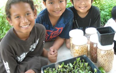 Living Classroom at Kihei Elementary
