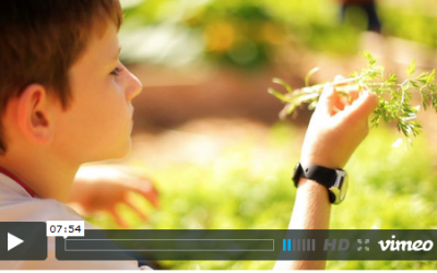 Kihei Garden Featured on Self-Made In Hawaii (OC16)