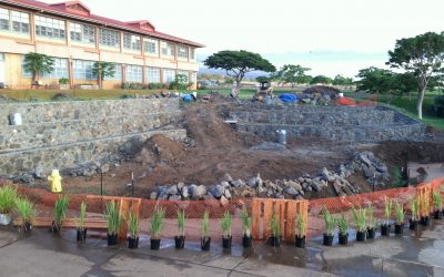 Lokelani Rocks! (and Plants!)